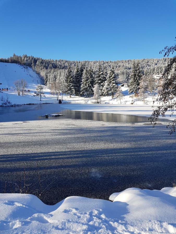 Jules Traum Im Schwarzwald Lägenhet Herrischried Exteriör bild