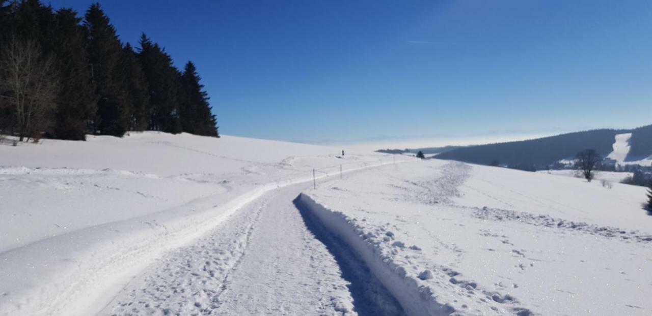Jules Traum Im Schwarzwald Lägenhet Herrischried Exteriör bild