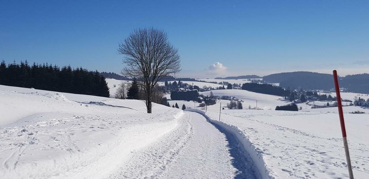 Jules Traum Im Schwarzwald Lägenhet Herrischried Exteriör bild